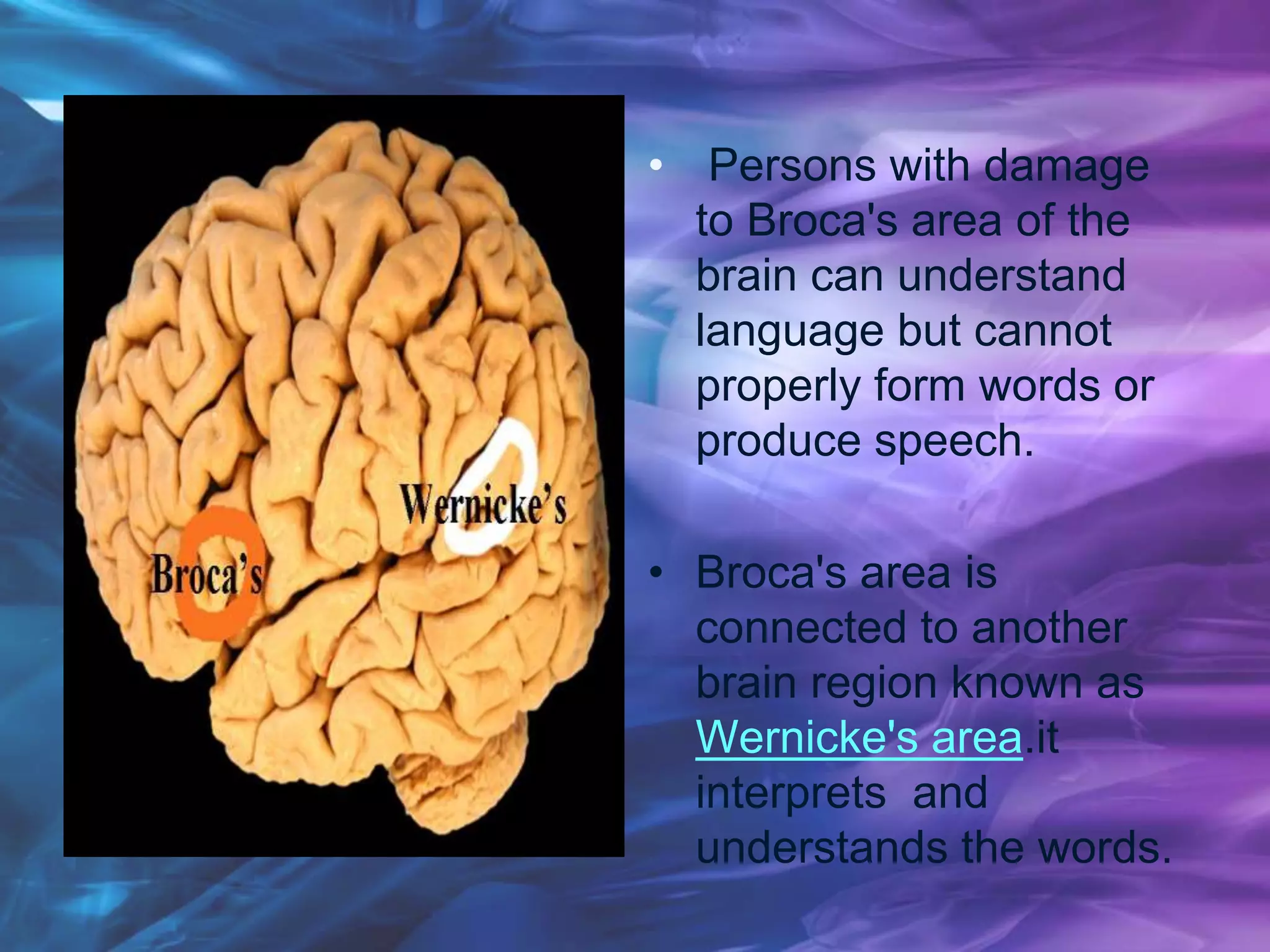 • Persons with damage
to Broca's area of the
brain can understand
language but cannot
properly form words or
produce speech.
• Broca's area is
connected to another
brain region known as
Wernicke's area.it
interprets and
understands the words.
 