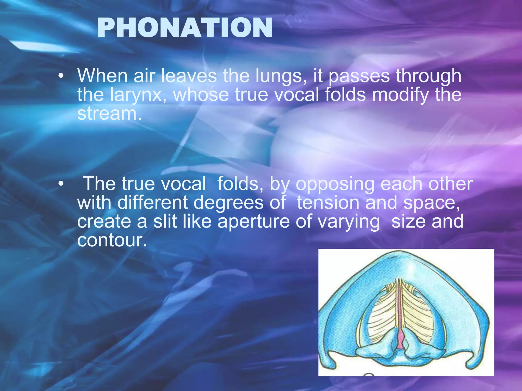 PHONATION
• When air leaves the lungs, it passes through
the larynx, whose true vocal folds modify the
stream.
• The true vocal folds, by opposing each other
with different degrees of tension and space,
create a slit like aperture of varying size and
contour.
 