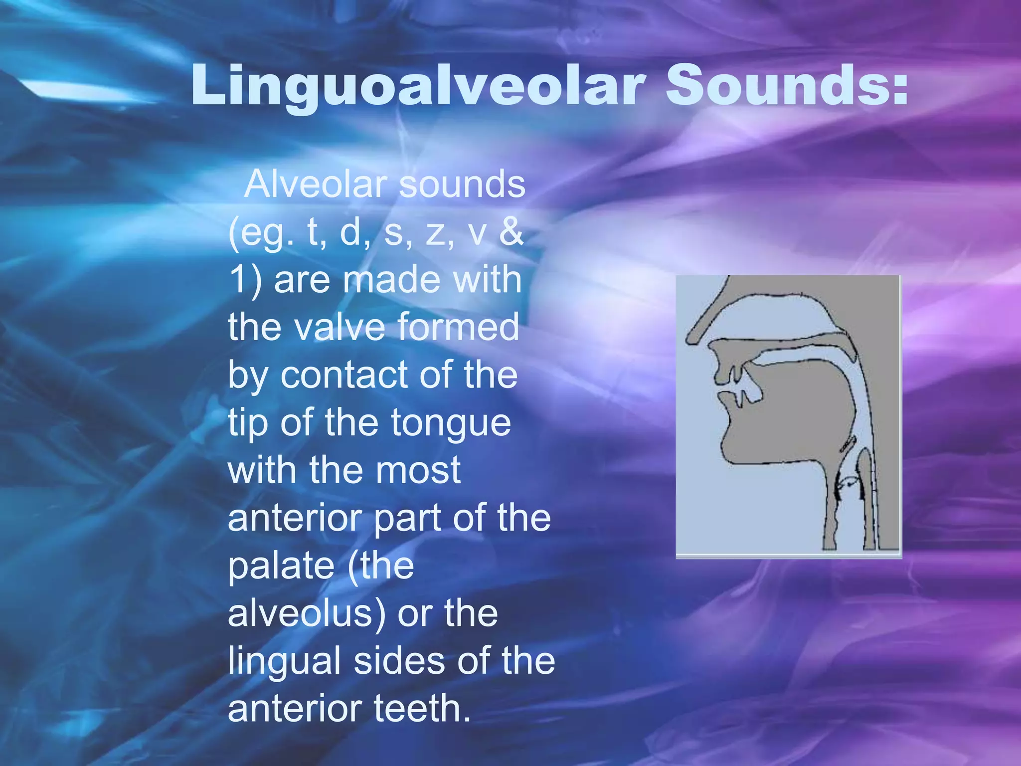 Linguoalveolar Sounds:
Alveolar sounds
(eg. t, d, s, z, v &
1) are made with
the valve formed
by contact of the
tip of the tongue
with the most
anterior part of the
palate (the
alveolus) or the
lingual sides of the
anterior teeth.
 