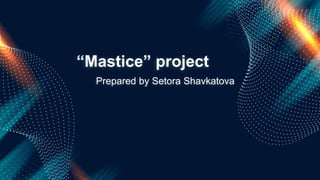 “Mastice” project
Prepared by Setora Shavkatova
 