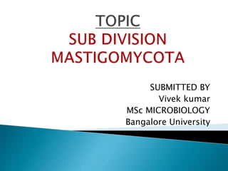 SUBMITTED BY
Vivek kumar
MSc MICROBIOLOGY
Bangalore University
 