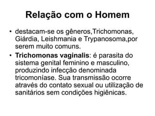 Relação com o Homem 
• destacam-se os gêneros,Trichomonas, 
Giárdia, Leishmania e Trypanosoma,por 
serem muito comuns. 
• Trichomonas vaginalis: é parasita do 
sistema genital feminino e masculino, 
produzindo infecção denominada 
tricomoníase. Sua transmissão ocorre 
através do contato sexual ou utilização de 
sanitários sem condições higiênicas. 
 