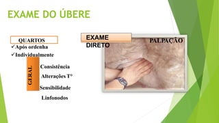 EXAME DO ÚBERE
PALPAÇÃO
QUARTOS
GERAL
Após ordenha
Individualmente
Consistência
Alterações T°
Sensibilidade
Linfonodos
EXAME
DIRETO
 