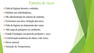 Fatores de risco
Faltade higiene durante a ordenha;
Defeitos nas ordenhadeiras;
Má administração do sistema de ordenha;
Ferimentos nos tetos; Irritação dos tetos;
Faltade higiene no alojamento das vacas;
Alta carga de patógenos no ambiente;
Estado Fisiológico nos período periparto e seco;
Conformação anatômica do úbere e dos tetos;
Stress animal;
Variação de Temperatura;
 