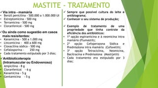 MASTITE - TRATAMENTO
Via intra - mamária
Ou ainda como sugestão em casos
mais resisitentes:
• Benzil penicilina - 500.000 a 1.000.000 UI
• Estreptomicina - 500 mg
• Terramicina - 500 mg
• Cloranfenicol - 500 mg
• Kanamicina - 500 a 1.000 mg
• Lincomicina - 400 a 600 mg
• Cloxacilina sódica - 500 mg
• Cefalosporina - 250 mg
• Cada tratamento estipulado por 3 dias;
Antibioticoterapia
(Intramuscular ou Endovenoso)
• Ampicilina - 8 g
• Cloranfenicol - 6 g
• Kanamicina - 5 g
• Gentamicina - 5 g
 Sempre que possível cultura do leite e
antibiograma;
 Conhecer o seu sistema de produção;
 Exemplo de tratamento de uma
propriedade que tinha controle da
eficiência dos antibióticos:
• 1ª opção espiramicina e à neomicina intra
mamário (Flumast®);
• 2ª opção Cefoperazona Sódica e
Prednisolona intra mamário (Cefavet®);
• 3ª opção Tetraciclina, Neomicina,
Bacitracina e Prednisolona (Mastijet®)
• Cada tratamento era estipulado por 3
dias;
 