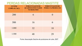 PERDAS RELACIONADAS MASTITE
CCSTQ
(1.000 cél./ mL)
PORCENTAGEM DE
QUARTOS INFECTADOS
NO REBANHO
PORCENTAGEM DE
PERDA NAPRODUÇÃO
200 6 0
500 16 6
1.000 32 18
1.500 48 29
Fonte: Associação Gaúcha de produtores de Leite, 2007
 