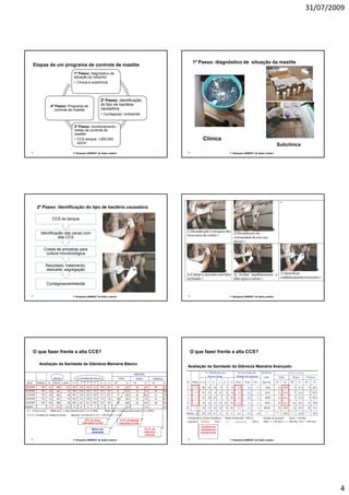 31/07/2009




                                                                                           1º Passo: diagnóstico de situação da mastite
Etapas de um programa de controle de mastite
                     1º Passo: diagnóstico de
                     situação do rebanho
                     • Clínica e subclínica




                                          2º Passo: identificação
        4º Passo: Programa de             do tipo de bactéria
          controle de mastite             causadora
                                          • Contagiosa / ambiental


                     3º Passo: monitoramento -
                     metas de controle de
                     mastite
                     • CCS tanque: <250.000                                                     Clínica
                       cel/ml
                                                                                                                                                     Subclínica
                    1º Simpósio SAMVET de Gado Leiteiro                                                        1º Simpósio SAMVET de Gado Leiteiro




 2º Passo: identificação do tipo de bactéria causadora

         CCS do tanque


   Identificação das vacas com
              alta CCS


    Coleta de amostras para
     cultura microbiológica


     Resultado: tratamento,
     descarte, segregação


      Contagioso/ambiental


                    1º Simpósio SAMVET de Gado Leiteiro                                                        1º Simpósio SAMVET de Gado Leiteiro




O que fazer frente a alta CCS?                                                            O que fazer frente a alta CCS?

  Avaliação da Sanidade da Glândula Mamária Básico
                                                                                         Avaliação da Sanidade da Glândula Mamária Avançado




                              27% de vacas                 12,7% de NOVAS
                           infectadas no mês              infecções no mês
                                                                                                Aumento de
                                   Meta a ser                                73,1% de          infecções em
                                   alcançada                                 infecções         relação ao NL
                                                                              crônicas

                    1º Simpósio SAMVET de Gado Leiteiro                                                        1º Simpósio SAMVET de Gado Leiteiro




                                                                                                                                                                          4
 