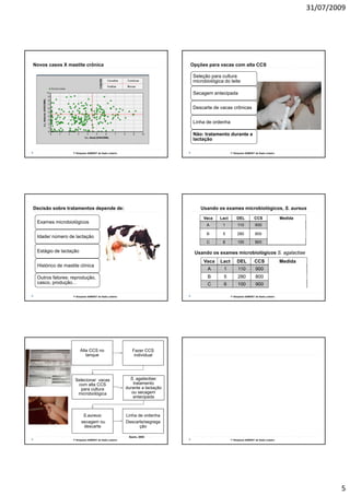31/07/2009




Novos casos X mastite crônica                                                Opções para vacas com alta CCS

                                                                             Seleção para cultura
                                                                             microbiológica do leite

                                                                             Secagem antecipada


                                                                             Descarte de vacas crônicas


                                                                             Linha de ordenha

                                                                             Não: tratamento durante a
                                                                             lactação

                  1º Simpósio SAMVET de Gado Leiteiro                                            1º Simpósio SAMVET de Gado Leiteiro




Decisão sobre tratamentos depende de:                                            Usando os exames microbiológicos, S. aureus

                                                                                  Vaca    Lact       DEL           CCS                 Medida
 Exames microbiológicos
                                                                                   A       1          110           900                Trat (?)

                                                                                   B       5          280           800        Secagem/ descarte
 Idade/ número de lactação
                                                                                   C       6          100           900                Descarte

 Estágio de lactação                                                          Usando os exames microbiológicos S. agalactiae
                                                                                  Vaca    Lact        DEL           CCS                Medida
 Histórico de mastite clínica
                                                                                    A       1         110           900                  Trat
 Outros fatores: reprodução,                                                        B       5         280           800                Secagem
 casco, produção…                                                                   C       6         100           900                  Trat

                  1º Simpósio SAMVET de Gado Leiteiro                                            1º Simpósio SAMVET de Gado Leiteiro




                       Alta CCS no                         Fazer CCS
                          tanque                            individual




                   Selecionar vacas                       S. agalactiae:
                    com alta CCS                            tratamento
                     p
                     para cultura                       durante a lactação
                    microbiológica                         ou secagem
                                                           antecipada



                         S.aureus:                      Linha de ordenha
                        secagem ou                      Descarte/segrega
                         descarte                              ção

                                                         Sears, 2003
                  1º Simpósio SAMVET de Gado Leiteiro                                            1º Simpósio SAMVET de Gado Leiteiro




                                                                                                                                                           5
 