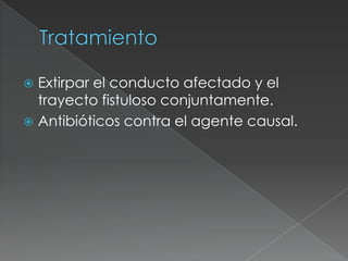 TratamientoExtirpar el conducto afectado y el trayecto fistuloso conjuntamente.Antibióticos contra el agente causal.