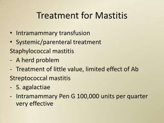 Treatment for Mastitis
• Intramammary transfusion
• Systemic/parenteral treatment
Staphylococcal mastitis
- A herd problem
- Treatment of little value, limited effect of Ab
Streptococcal mastitis
- S. agalactiae
- Intramammary Pen G 100,000 units per quarter
  very effective
 