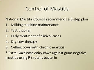 Control of Mastitis
National Mastitis Council recommends a 5 step plan
1. Milking machine maintenance
2. Teat dipping
3. Early treatment of clinical cases
4. Dry cow therapy
5. Culling cows with chronic mastitis
* Extra: vaccinate dairy cows against gram negative
mastitis using R mutant bacterin
 