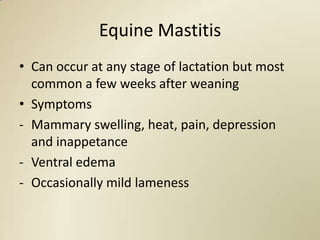 Equine Mastitis
• Can occur at any stage of lactation but most
  common a few weeks after weaning
• Symptoms
- Mammary swelling, heat, pain, depression
  and inappetance
- Ventral edema
- Occasionally mild lameness
 
