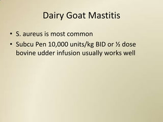 Dairy Goat Mastitis
• S. aureus is most common
• Subcu Pen 10,000 units/kg BID or ½ dose
  bovine udder infusion usually works well
 