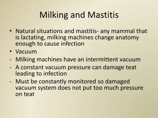 Milking and Mastitis
• Natural situations and mastitis- any mammal that
  is lactating, milking machines change anatomy
  enough to cause infection
• Vacuum
- Milking machines have an intermittent vacuum
- A constant vacuum pressure can damage teat
  leading to infection
- Must be constantly monitored so damaged
  vacuum system does not put too much pressure
  on teat
 