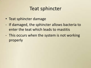 Teat sphincter
• Teat sphincter damage
- If damaged, the sphincter allows bacteria to
  enter the teat which leads to mastitis
- This occurs when the system is not working
  properly
 