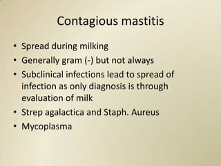 Contagious mastitis
• Spread during milking
• Generally gram (-) but not always
• Subclinical infections lead to spread of
  infection as only diagnosis is through
  evaluation of milk
• Strep agalactica and Staph. Aureus
• Mycoplasma
 