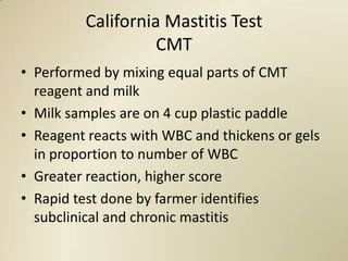 California Mastitis Test
                   CMT
• Performed by mixing equal parts of CMT
  reagent and milk
• Milk samples are on 4 cup plastic paddle
• Reagent reacts with WBC and thickens or gels
  in proportion to number of WBC
• Greater reaction, higher score
• Rapid test done by farmer identifies
  subclinical and chronic mastitis
 