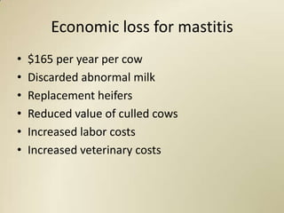 Economic loss for mastitis
•   $165 per year per cow
•   Discarded abnormal milk
•   Replacement heifers
•   Reduced value of culled cows
•   Increased labor costs
•   Increased veterinary costs
 