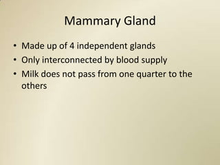 Mammary Gland
• Made up of 4 independent glands
• Only interconnected by blood supply
• Milk does not pass from one quarter to the
  others
 