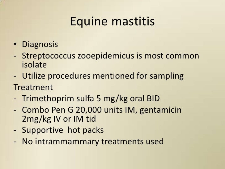 Mastitis