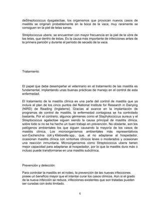 deStreptococcus dysgalactiae, los organismos que provocan nuevos casos de
mastitis se originan probablemente en la boca de la vaca; muy raramente se
consiguen en la piel de tetas sanas.
Streptococcus uberis: se encuentran con mayor frecuencia en la piel de la ubre de
las tetas, que dentro de éstas. Es la causa más importante de infecciones antes de
la primera parición y durante el período de secado de la vaca.

Tratamiento

El papel que debe desempeñar el veterinario en el tratamiento de las mastitis es
fundamental, implantando unas buenas prácticas de manejo en el control de esta
enfermedad.
El tratamiento de la mastitis clínica es una parte del control de mastitis que ya
incluía el plan de los cinco puntos del National Institute for Research in Dairying
(NIRD) de Reading (Inglaterra). Gracias al avance en la implantación de
programas de control de mastitis, la enfermedad contagiosa se ha controlado
bastante. Por el contrario, algunos gérmenes como el Staphylococcus aureus y el
Streptococcus agalactiae siguen siendo la causa principal de mastitis clínica,
sobre todo si no se ha hecho un buen trabajo en prevención. No obstante, son los
patógenos ambientales los que siguen causando la mayoría de los casos de
mastitis clínica. Los microorganismos ambientales más representativos
son Escherichia coli y Klebsiella spp., que, al no adaptarse al hospedador,
ocasionan mastitis clínica con síntomas clínicos leves o moderados y ocasionan
una reacción inmunitaria. Microorganismos como Streptococcus uberis tienen
mejor capacidad para adaptarse al hospedador, por lo que la mastitis dura más o
incluso puede transformarse en una mastitis subclínica.

Prevención y detección
Para controlar la mastitis en el rodeo, la prevención de las nuevas infecciones
posee un beneficio mayor que el intentar curar los casos clínicos. Aún si el grado
de la nueva infección se reduce, infecciones existentes que son tratadas pueden
ser curadas con éxito limitado.
6

 