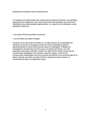 Importancia económica de la mastitis bovina

La mastitis es la enfermedad más costosa de la producción lechera. Las pérdidas
queproduce la mastitis son dos veces superiores a las pérdidas que produce la
infertilidad y las enfermedades reproductivas. La mayoría de los tamberos ve las
pérdidas a través de:

• Los casos clínicos que ellos encuentran
• Los animales que deben refugiar
Fracasar en el control de la mastitis en un rodeo lechero es comparable con
derramar Leche por el desagüe, porque las vacas infectadas producen
significativamente menos leche que las vacas no infectadas. Trabajos de
investigación demostraron que las vacas con bajos CCS tienen una vida
productiva más larga. Además, la leche con altos CCS contiene menos de los
componentes deseables como lactosa, caseína y grasa, y más de los
componentes indeseables como las enzimas que atacan a los componentes de la
leche. Cuando una leche con altos CCS es usada para hacer quesos, el
rendimiento es bajo y la calidad es menor.

9

 