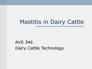 Mastitis in Dairy Cattle
AVS 346
Dairy Cattle Technology
 