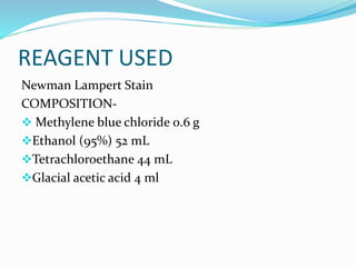 REAGENT USED
Newman Lampert Stain
COMPOSITION-
 Methylene blue chloride 0.6 g
Ethanol (95%) 52 mL
Tetrachloroethane 44 mL
Glacial acetic acid 4 ml
 