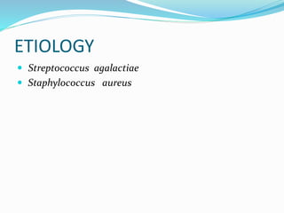 ETIOLOGY
 Streptococcus agalactiae
 Staphylococcus aureus
 