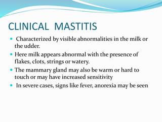 CLINICAL MASTITIS
 Characterized by visible abnormalities in the milk or
the udder.
 Here milk appears abnormal with the presence of
flakes, clots, strings or watery.
 The mammary gland may also be warm or hard to
touch or may have increased sensitivity
 In severe cases, signs like fever, anorexia may be seen
 