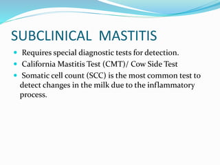 SUBCLINICAL MASTITIS
 Requires special diagnostic tests for detection.
 California Mastitis Test (CMT)/ Cow Side Test
 Somatic cell count (SCC) is the most common test to
detect changes in the milk due to the inflammatory
process.
 