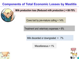 Miscellaneous = 1%
Components of Total Economic Losses by Mastitis
Milk production loss (Reduced milk production ) = 60-70%
Milk discarded or downgraded = 7%
Cows lost by pre-mature culling = 14%
Treatment and veterinary expenses = 8%
 