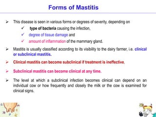 Forms of Mastitis
 This disease is seen in various forms or degrees of severity, depending on
 type of bacteria causing the infection,
 degree of tissue damage and
 amount of inflammation of the mammary gland.
 Mastitis is usually classified according to its visibility to the dairy farmer, i.e. clinical
or subclinical mastitis.
 Clinical mastitis can become subclinical if treatment is ineffective,
 Subclinical mastitis can become clinical at any time.
 The level at which a subclinical infection becomes clinical can depend on an
individual cow or how frequently and closely the milk or the cow is examined for
clinical signs.
 