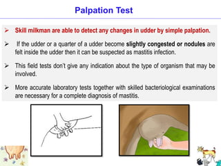  Skill milkman are able to detect any changes in udder by simple palpation.
 If the udder or a quarter of a udder become slightly congested or nodules are
felt inside the udder then it can be suspected as mastitis infection.
 This field tests don’t give any indication about the type of organism that may be
involved.
 More accurate laboratory tests together with skilled bacteriological examinations
are necessary for a complete diagnosis of mastitis.
Palpation Test
 