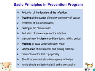  Reduction of the duration of the infection
 Treating all the quarter of the cow during dry-off season
 Treatment of the clinical cases
 Culling of the chronic cases
 Reduction of future causes of the infection
 Maintaining of hygienic condition during milking period
 Washing of cows udder with warm water
 Disinfection of milk utensils and milking machine
 Disinfection of the teat cup specially
 Should be economically advantageous to the farm
 Has to simple and technical skill and understanding
Basic Principles in Prevention Program
 