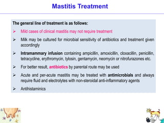 The general line of treatment is as follows:
 Mild cases of clinical mastitis may not require treatment
 Milk may be cultured for microbial sensitivity of antibiotics and treatment given
accordingly
 Intramammary infusion containing ampicillin, amoxicillin, cloxacillin, penicillin,
tetracycline, erythromycin, tylosin, gentamycin, neomycin or nitrofurazones etc.
 For better result, antibiotics by parental route may be used
 Acute and per-acute mastitis may be treated with antimicrobials and always
require fluid and electrolytes with non-steroidal anti-inflammatory agents
 Antihistaminics
Mastitis Treatment
 