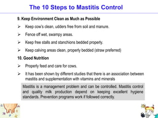 9. Keep Environment Clean as Much as Possible
 Keep cow’s clean, udders free from soil and manure.
 Fence off wet, swampy areas.
 Keep free stalls and stanchions bedded properly.
 Keep calving areas clean, properly bedded (straw preferred)
10. Good Nutrition
 Properly feed and care for cows.
 It has been shown by different studies that there is an association between
mastitis and supplementation with vitamins and minerals
Mastitis is a management problem and can be controlled. Mastitis control
and quality milk production depend on keeping excellent hygiene
standards. Prevention programs work if followed correctly.
The 10 Steps to Mastitis Control
 