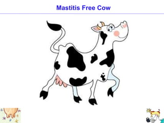 Mastitis Free Cow
 