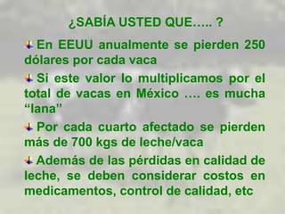 ¿SABÍA USTED QUE….. ?
En EEUU anualmente se pierden 250
dólares por cada vaca
Si este valor lo multiplicamos por el
total de vacas en México …. es mucha
“lana”
Por cada cuarto afectado se pierden
más de 700 kgs de leche/vaca
Además de las pérdidas en calidad de
leche, se deben considerar costos en
medicamentos, control de calidad, etc
 