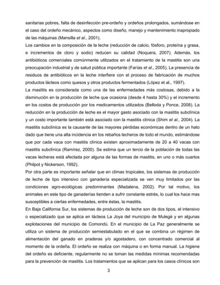 sanitarias pobres, falta de desinfección pre-ordeño y ordeños prolongados, sumándose en
el caso del ordeño mecánico, aspectos como diseño, manejo y mantenimiento inapropiado
de las máquinas (Mansilla et al., 2001).
Los cambios en la composición de la leche (reducción de calcio, fósforo, proteína y grasa,
e incrementos de cloro y sodio) reducen su calidad (Noquera, 2007). Además, los
antibióticos comerciales comúnmente utilizados en el tratamiento de la mastitis son una
preocupación industrial y de salud pública importante (Farías et al., 2005). La presencia de
residuos de antibióticos en la leche interfiere con el proceso de fabricación de muchos
productos lácteos como quesos y otros productos fermentados (López et al., 1997).
La mastitis es considerada como una de las enfermedades más costosas, debido a la
disminución en la producción de leche que ocasiona (desde 4 hasta 30%) y el incremento
en los costos de producción por los medicamentos utilizados (Belloda y Ponce, 2008). La
reducción en la producción de leche es el mayor gasto asociado con la mastitis subclínica
y un costo importante también está asociado con la mastitis clínica (Shim et al., 2004). La
mastitis subclínica es la causante de las mayores pérdidas económicas dentro de un hato
dado que tiene una alta incidencia en los rebaños lecheros de todo el mundo, estimándose
que por cada vaca con mastitis clínica existen aproximadamente de 20 a 40 vacas con
mastitis subclínica (Ramírez, 2000). Se estima que un tercio de la población de todas las
vacas lecheras está afectada por alguna de las formas de mastitis, en uno o más cuartos
(Philpot y Nickerson, 1992).
Por otra parte es importante señalar que en climas tropicales, los sistemas de producción
de leche de tipo intensivo con ganadería especializada se ven muy limitados por las
condiciones agro-ecológicas predominantes (Madalena, 2002). Por tal motivo, los
animales en este tipo de ganaderías tienden a sufrir constante estrés, lo cual los hace mas
susceptibles a ciertas enfermedades, entre éstas, la mastitis.
En Baja California Sur, los sistemas de producción de leche son de dos tipos, el intensivo
o especializado que se aplica en lácteos La Joya del municipio de Mulegé y en algunas
explotaciones del municipio de Comondú. En el municipio de La Paz generalmente se
utiliza un sistema de producción semiestabulado en el que se combina un régimen de
alimentación del ganado en praderas y/o agostadero, con concentrado comercial al
momento de la ordeña. El ordeño se realiza con máquina o en forma manual. La higiene
del ordeño es deficiente, regularmente no se toman las medidas mínimas recomendadas
para la prevención de mastitis. Los tratamientos que se aplican para los casos clínicos son
                                           3 
 