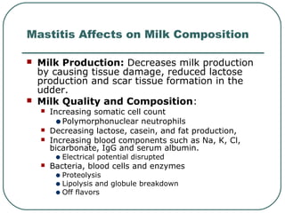 Milk Production: Decreases milk production
by causing tissue damage, reduced lactose
production and scar tissue formation in the
udder.
 Milk Quality and Composition:
 Increasing somatic cell count
•Polymorphonuclear neutrophils
 Decreasing lactose, casein, and fat production,
 Increasing blood components such as Na, K, Cl,
bicarbonate, IgG and serum albumin.
•Electrical potential disrupted
 Bacteria, blood cells and enzymes
•Proteolysis
•Lipolysis and globule breakdown
•Off flavors
Mastitis Affects on Milk Composition
 