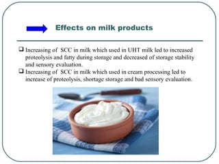  Increasing of SCC in milk which used in UHT milk led to increased
proteolysis and fatty during storage and decreased of storage stability
and sensory evaluation.
 Increasing of SCC in milk which used in cream processing led to
increase of proteolysis, shortage storage and bad sensory evaluation.
Effects on milk products
 