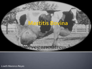 Mastitis Bovina Liseth Marenco Reyes 