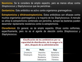 Neomicina. Se le considera de amplio espectro, pero es menos eficaz contra
Streptococcus y Staphylococcus que las penicilinas .
Gentamicina. Este antibiótico es activo contra organismos gramnegativos.
Estreptomicina y dihidroestreptomicina. Estos antibióticos son eficaces contra
muchos organismos gramnegativos y la mayoría de los Staphylococcus. A menudo
se utiliza la estreptomicina combinada con penicilina, aunque las bacterias pueden
desarrollar rápidamente resistencia contra la estreptomicina.
Cloranfenicol. En general, es de amplio espectro. Eficaz contra coliformes,
específicamente, pero no es el agente de elección contra Streptococcus y
Staphylococcus.
 