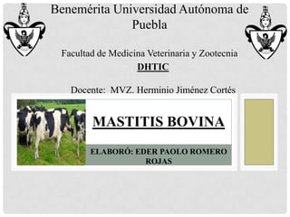 Benemérita Universidad Autónoma de
Puebla
Facultad de Medicina Veterinaria y Zootecnia
DHTIC

Docente: MVZ. Herminio Jiménez Cortés

MASTITIS BOVINA
ELABORÓ: EDER PAOLO ROMERO
ROJAS

 