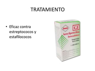 TRATAMIENTO
• Eficaz contra
estreptococos y
estafilococos
 