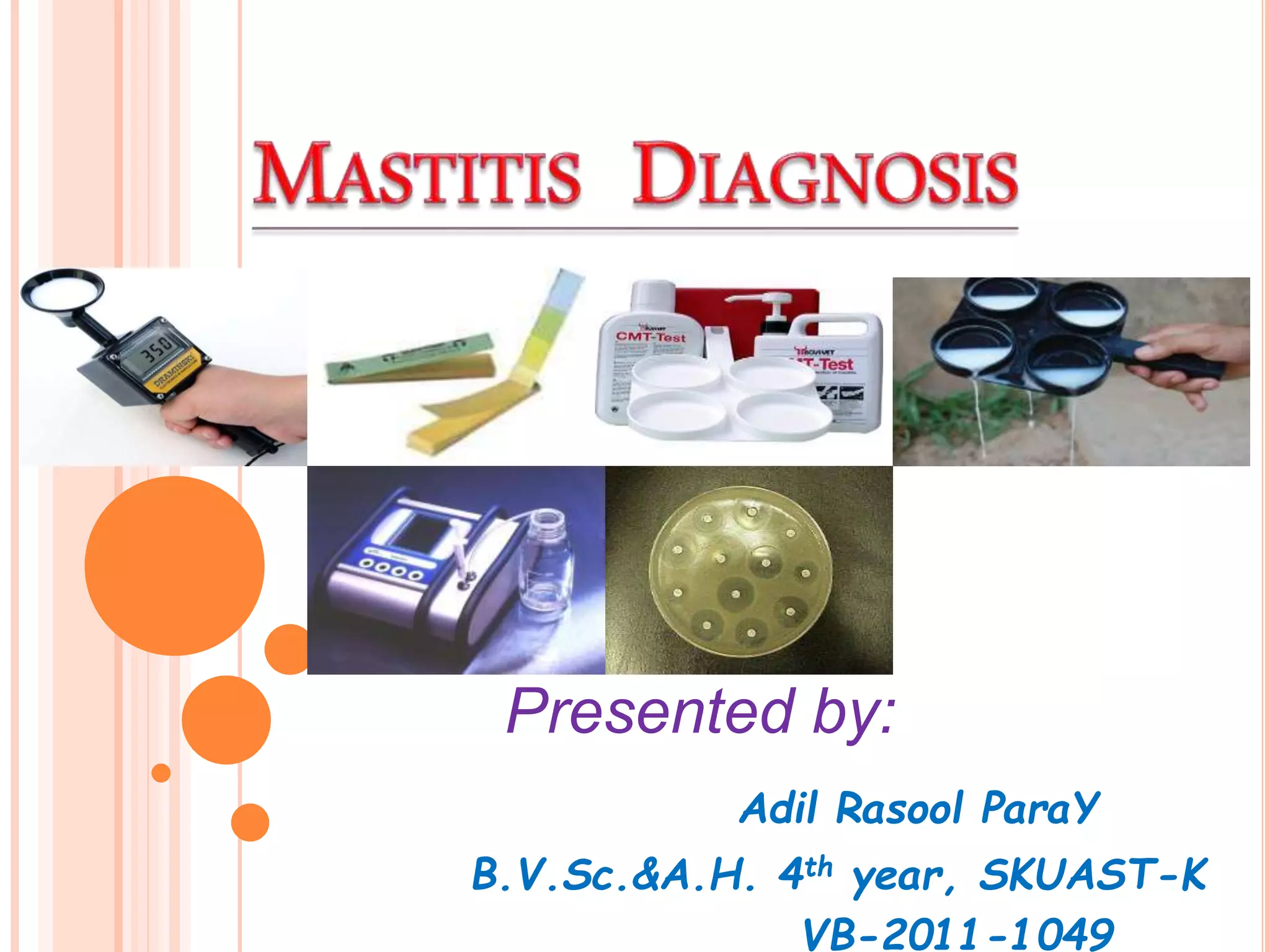 Adil Rasool MASTITIS DIAGNOSIS by ADIL RASOOL PARAY | PPTX