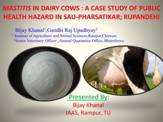 MASTITIS IN DAIRY COWS : A CASE STUDY OF PUBLIC
HEALTH HAZARD IN SAU-PHARSATIKAR; RUPANDEHI
Presented By:
Bijay Khanal
IAAS, Rampur, TU
Bijay Khanal1,Gandhi Raj Upadhyay2
1, Institute of Agriculture and Animal Sciences,Rampur,Chitwan;
2Senior Veterinary Officer , Animal Quarantine Office, Bhairahawa
 