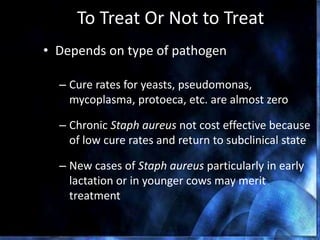 To Treat Or Not to Treat
• Depends on type of pathogen
– Cure rates for yeasts, pseudomonas,
mycoplasma, protoeca, etc. are almost zero
– Chronic Staph aureus not cost effective because
of low cure rates and return to subclinical state
– New cases of Staph aureus particularly in early
lactation or in younger cows may merit
treatment
Ruegg, 2009
 