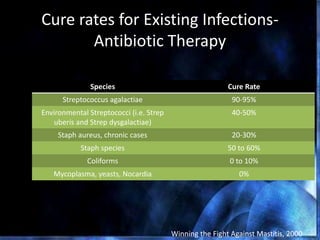 Cure rates for Existing Infections-
Antibiotic Therapy
Species Cure Rate
Streptococcus agalactiae 90-95%
Environmental Streptococci (i.e. Strep
uberis and Strep dysgalactiae)
40-50%
Staph aureus, chronic cases 20-30%
Staph species 50 to 60%
Coliforms 0 to 10%
Mycoplasma, yeasts, Nocardia 0%
Winning the Fight Against Mastitis, 2000
 